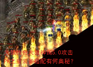 天狼传奇天狼神镯5.0攻击PK之皇装备搭配有何奥秘? 天狼传奇天狼神镯5.0攻击PK之皇装备搭配有何奥秘?