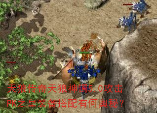 天狼传奇天狼神镯5.0攻击PK之皇装备搭配有何奥秘? 天狼传奇天狼神镯5.0攻击PK之皇装备搭配有何奥秘?