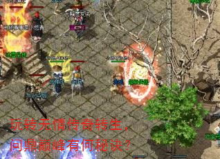 玩转无情传奇转生,问鼎巅峰有何秘诀? 玩转无情传奇转生,问鼎巅峰有何秘诀?