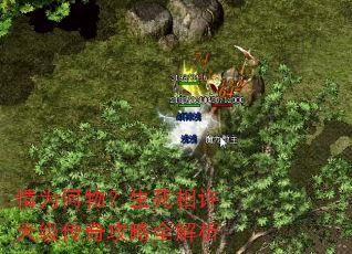 ��Ϊ������������켶���湥��ȫ����