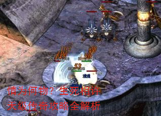 ��Ϊ������������켶���湥��ȫ����