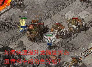如何快速提升龙腾世界热血传奇中的角色等级? 如何快速提升龙腾世界热血传奇中的角色等级?