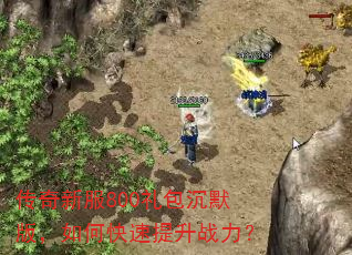 传奇新服800礼包沉默版,如何快速提升战力? 传奇新服800礼包沉默版,如何快速提升战力?