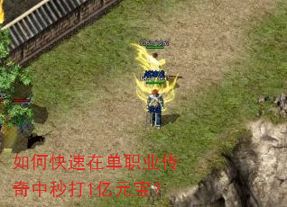 如何快速在单职业传奇中秒打1亿元宝? 如何快速在单职业传奇中秒打1亿元宝?