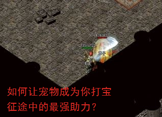 如何让宠物成为你打宝征途中的最强助力? 如何让宠物成为你打宝征途中的最强助力?