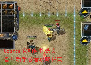 Cqsf玩家如何挑选装备?新手必看攻略指南 Cqsf玩家如何挑选装备?新手必看攻略指南