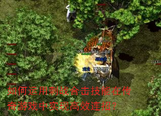 如何运用刺战合击技能在传奇游戏中实现高效连招? 如何运用刺战合击技能在传奇游戏中实现高效连招?