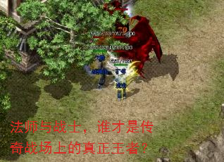 法师与战士,谁才是传奇战场上的真正王者? 法师与战士,谁才是传奇战场上的真正王者?
