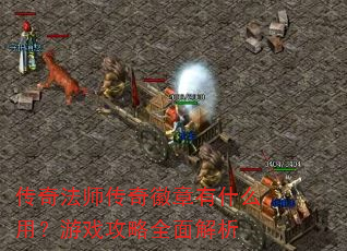 ���淨ʦ���������ʲô�ã���Ϸ����ȫ�����