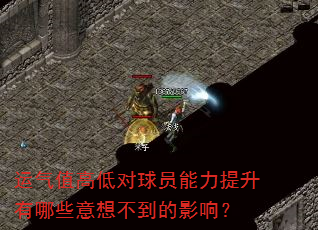 ����ֵ�ߵͶ���Ա������������Щ���벻����Ӱ�죿