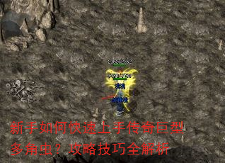 新手如何快速上手传奇巨型多角虫?攻略技巧全解析 新手如何快速上手传奇巨型多角虫?攻略技巧全解析