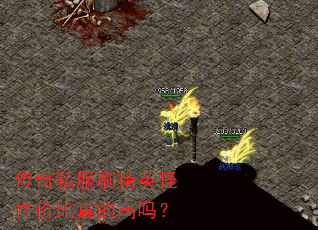 传奇私服刷精英怪性价比真的高吗? 传奇私服刷精英怪性价比真的高吗?