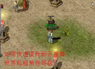 如何快速提升新开魔兽世界私服角色等级? 如何快速提升新开魔兽世界私服角色等级?