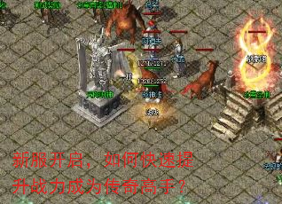 新服开启,如何快速提升战力成为传奇高手? 新服开启,如何快速提升战力成为传奇高手?
