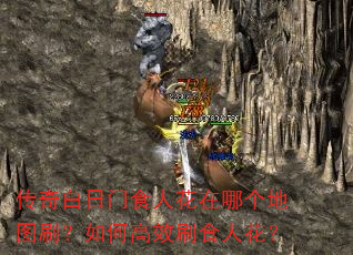 传奇白日门食人花在哪个地图刷?如何高效刷食人花? 传奇白日门食人花在哪个地图刷?如何高效刷食人花?