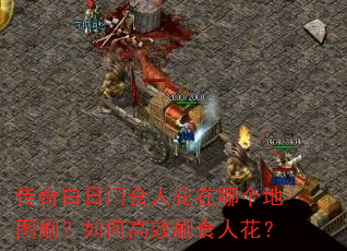 传奇白日门食人花在哪个地图刷?如何高效刷食人花? 传奇白日门食人花在哪个地图刷?如何高效刷食人花?