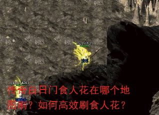 传奇白日门食人花在哪个地图刷?如何高效刷食人花? 传奇白日门食人花在哪个地图刷?如何高效刷食人花?