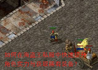 如何在海盗王私服中快速提升角色实力与获取稀有装备? 如何在海盗王私服中快速提升角色实力与获取稀有装备?