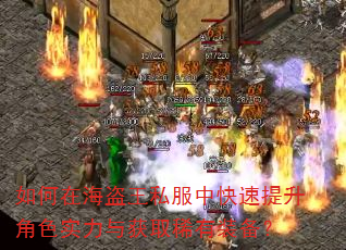 如何在海盗王私服中快速提升角色实力与获取稀有装备? 如何在海盗王私服中快速提升角色实力与获取稀有装备?