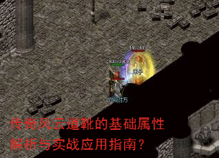 ������Ƶ�ѥ�Ļ������Խ�����ʵսӦ��ָ�ϣ�
