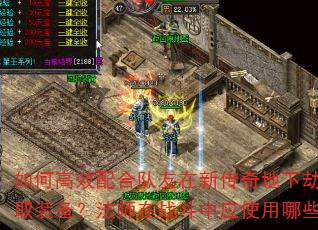 如何高效配合队友在新传奇地下劫掠中获取装备?法师在战斗中应使用哪些技能? 如何高效配合队友在新传奇地下劫掠中获取装备?法师在战斗中应使用哪些技能?