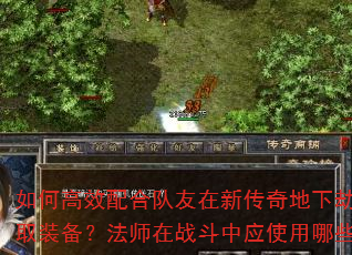 如何高效配合队友在新传奇地下劫掠中获取装备?法师在战斗中应使用哪些技能? 如何高效配合队友在新传奇地下劫掠中获取装备?法师在战斗中应使用哪些技能?