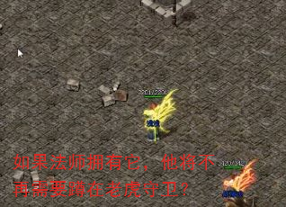 如果法师拥有它,他将不再需要蹲在老虎守卫? 如果法师拥有它,他将不再需要蹲在老虎守卫?