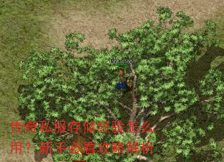 传奇私服存储经验怎么用?新手必看攻略解析 传奇私服存储经验怎么用?新手必看攻略解析