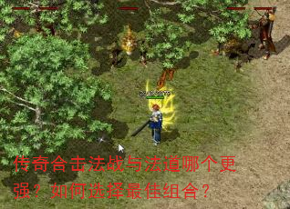 传奇合击法战与法道哪个更强?如何选择最佳组合? 传奇合击法战与法道哪个更强?如何选择最佳组合?