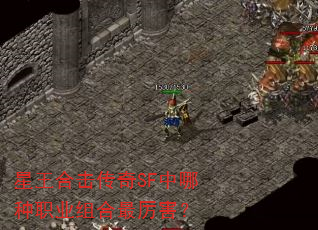 星王合击传奇SF中哪种职业组合最厉害? 星王合击传奇SF中哪种职业组合最厉害?