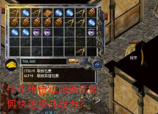 牛牛传奇私服新手如何快速提升战力? 牛牛传奇私服新手如何快速提升战力?
