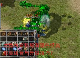 大型传奇私服有哪些经典职业组合与升级技巧? 大型传奇私服有哪些经典职业组合与升级技巧?