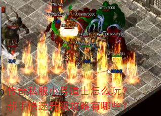 传奇私服小号道士怎么玩?新手快速升级攻略有哪些? 传奇私服小号道士怎么玩?新手快速升级攻略有哪些?