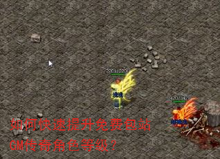 如何快速提升免费包站GM传奇角色等级? 如何快速提升免费包站GM传奇角色等级?