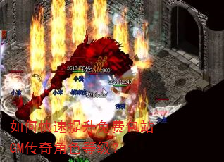 如何快速提升免费包站GM传奇角色等级? 如何快速提升免费包站GM传奇角色等级?