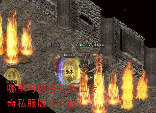 ��������ҵ���Ѫ����˽���汾���أ�