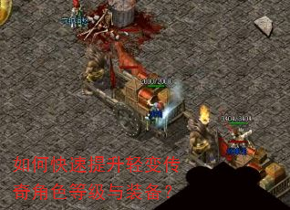 如何快速提升轻变传奇角色等级与装备? 如何快速提升轻变传奇角色等级与装备?