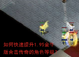 如何快速提升1.95金牛版合击传奇的角色等级? 如何快速提升1.95金牛版合击传奇的角色等级?
