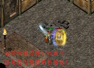 如何快速提升1.95金牛版合击传奇的角色等级? 如何快速提升1.95金牛版合击传奇的角色等级?