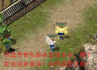 ��Ѫ����˽���ϻ��汾�У��ĸ�ְҵ�����ǿ����δ��似�ܣ�