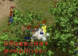 如何获取复古传奇手游中的白日门书页? 如何获取复古传奇手游中的白日门书页?