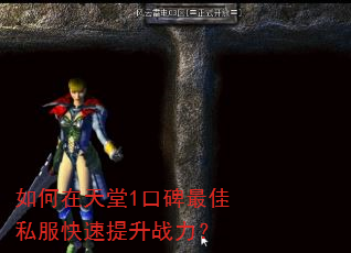 如何在天堂1口碑最佳私服快速提升战力? 如何在天堂1口碑最佳私服快速提升战力?