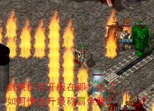 剑侠世界开服在即?新手如何快速升级称霸全服? 剑侠世界开服在即?新手如何快速升级称霸全服?