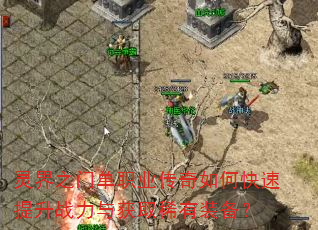 灵界之门单职业传奇如何快速提升战力与获取稀有装备? 灵界之门单职业传奇如何快速提升战力与获取稀有装备?