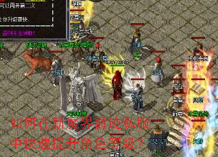 如何在新魔界爵迹私服中快速提升角色等级? 如何在新魔界爵迹私服中快速提升角色等级?