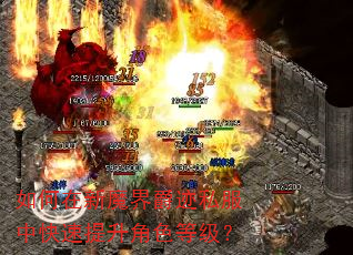 如何在新魔界爵迹私服中快速提升角色等级? 如何在新魔界爵迹私服中快速提升角色等级?