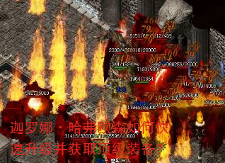 �����ȡ�����ŷɭ��ο�����������ȡ����װ����