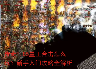 ����1.85�����ϻ���ô�棿�������Ź���ȫ����