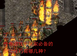 传奇游戏中玩家必备的步法技巧有哪几种? 传奇游戏中玩家必备的步法技巧有哪几种?