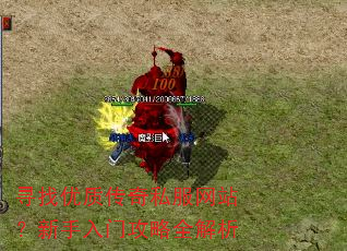 寻找优质传奇私服网站?新手入门攻略全解析 寻找优质传奇私服网站?新手入门攻略全解析